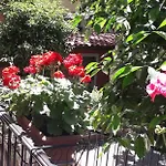 Gioia Roma