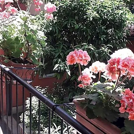 Gioia