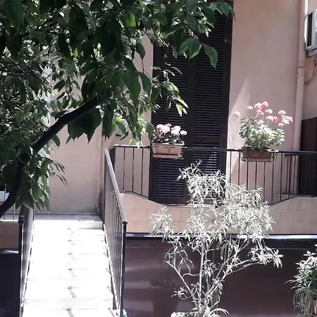 Gioia 4*