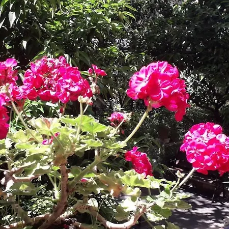 Gioia Гостевой дом 4*