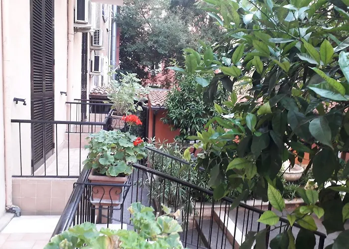 Gioia 게스트하우스