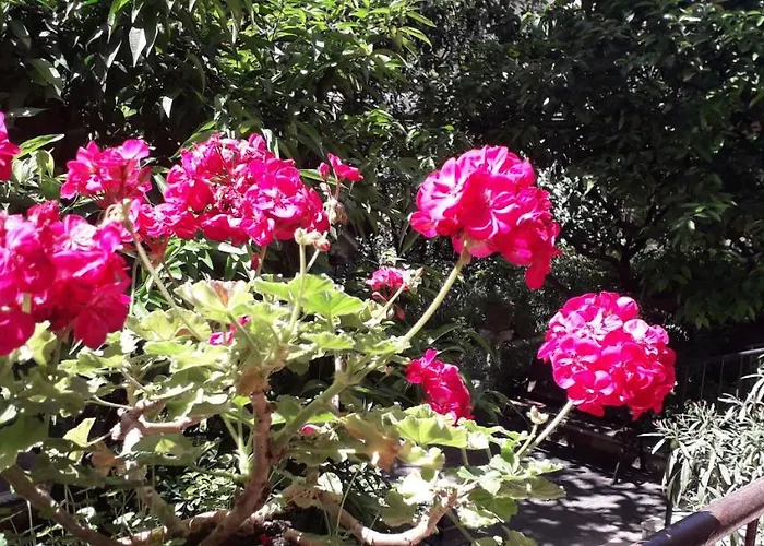 Gioia ゲストハウス 4*