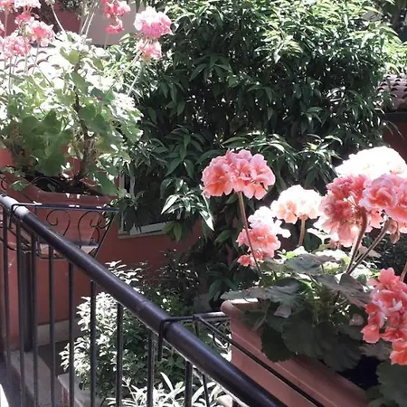 Gioia Pensión Roma
