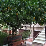 Gioia 4*
