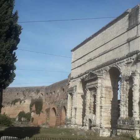 Gioia 2*