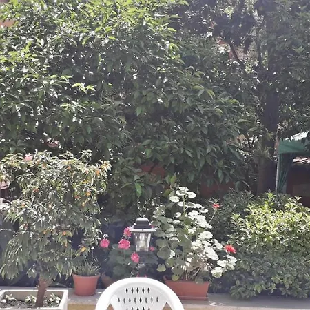 Gioia בית הארחה רומא